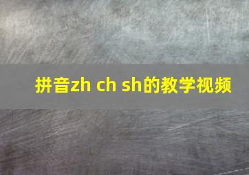 拼音zh ch sh的教学视频